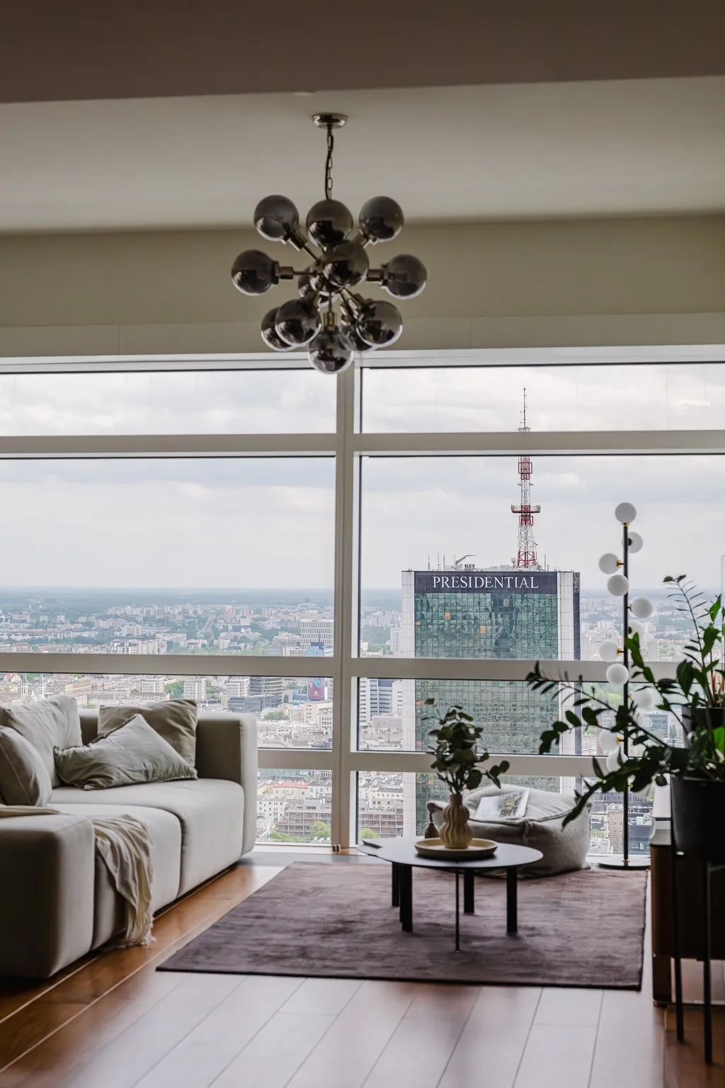Vertical view of the living room: sofa, plant and panorama beyond the window