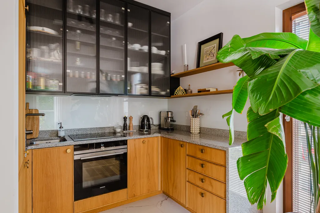 Frame from an apartment with a balcony and large plants